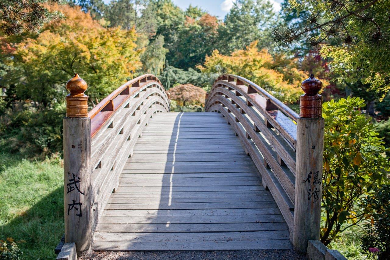 Apartments For Rent in Gresham, Oregon | Campbell Park Amenities